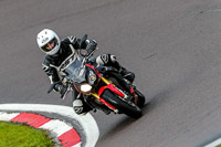 PJ-Motorsport-Photography-2020;anglesey;brands-hatch;cadwell-park;croft;donington-park;enduro-digital-images;event-digital-images;eventdigitalimages;mallory;no-limits;oulton-park;peter-wileman-photography;racing-digital-images;silverstone;snetterton;trackday-digital-images;trackday-photos;vmcc-banbury-run;welsh-2-day-enduro